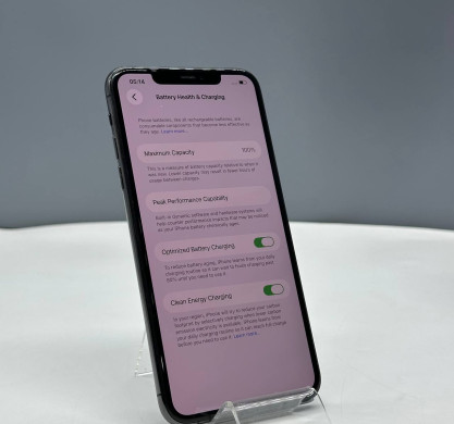 iPhone 11 Pro Max 256GB Space Gray 100%